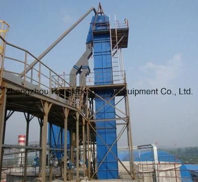 Chain Type or Plate Type Iron Ore Bucket Elevator