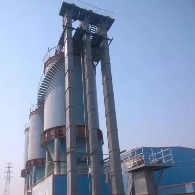 Professional Chain Bucket Elevator Manufacturer