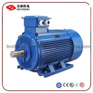 Y2-180L-6 Series Smooth Running Easy Operation Three Phase Electric Motors